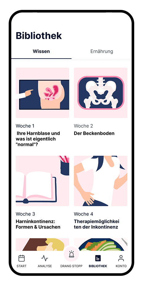 Wissenssektion