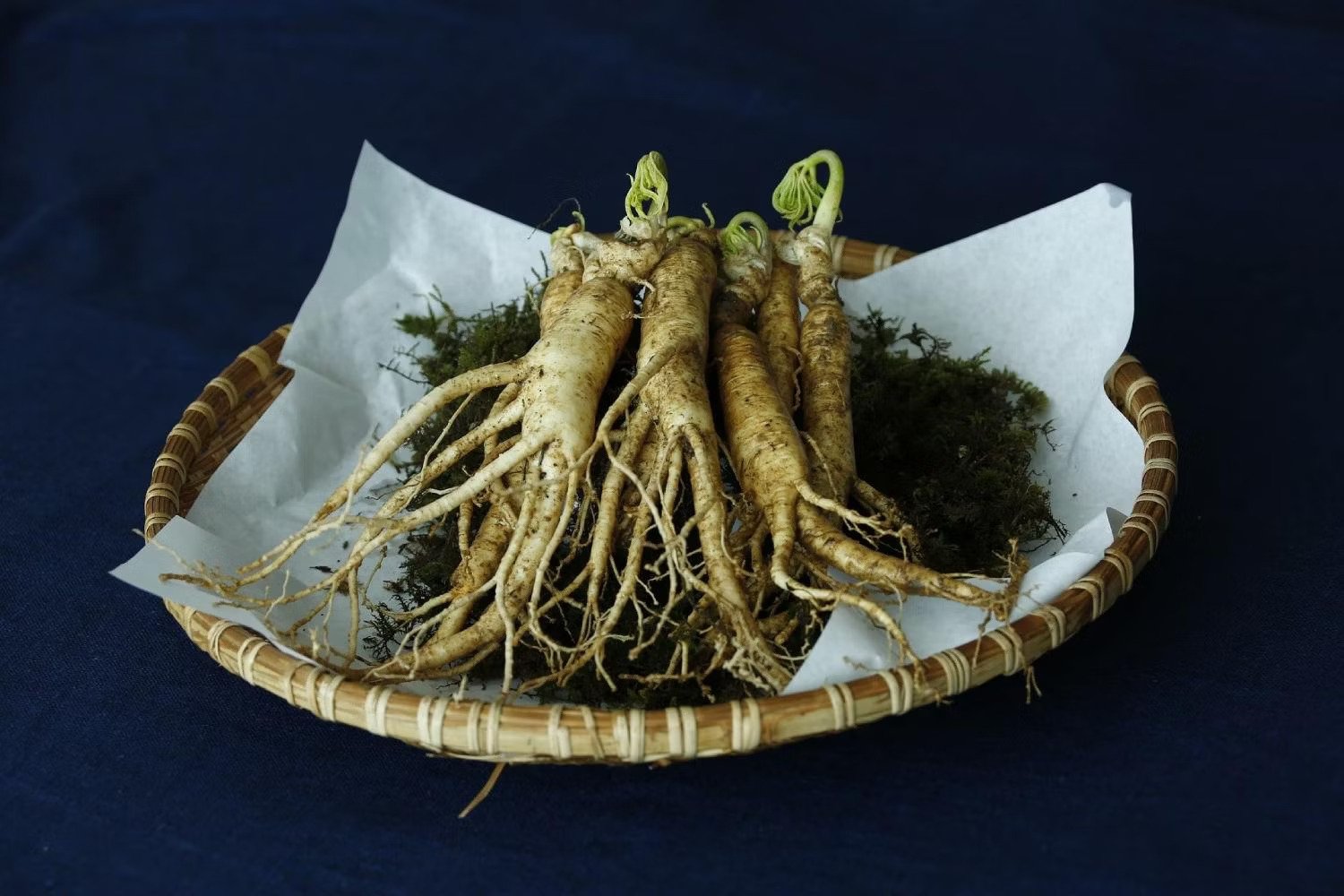 Ginseng, die potenzfördernde Wurzel aus Asien